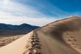 Kelso Dunes