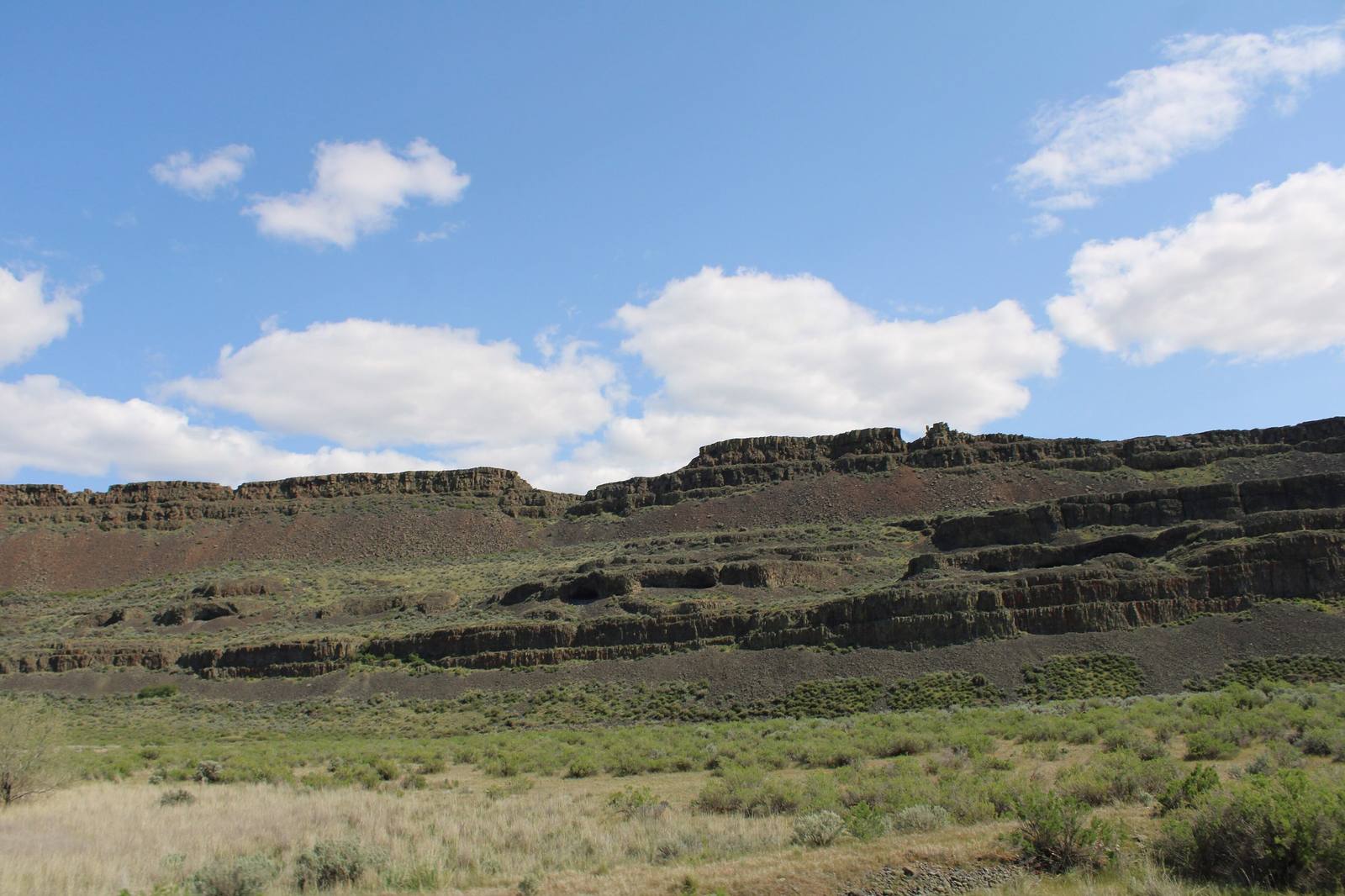 The layered basalt wall of the coulee above Lake Lenore, where the rock shelters are cut into the cliff, with sagebrush flats below