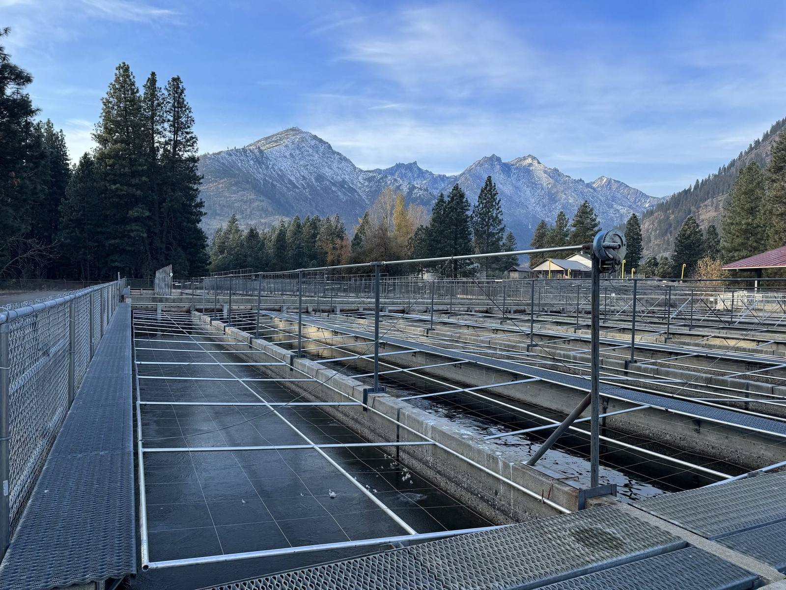 The long concrete raceways of the Leavenworth hatchery under steel walkways, evergreens and snow-dusted peaks of the Icicle Creek valley beyond