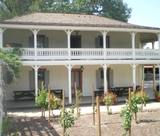 Leonis Adobe