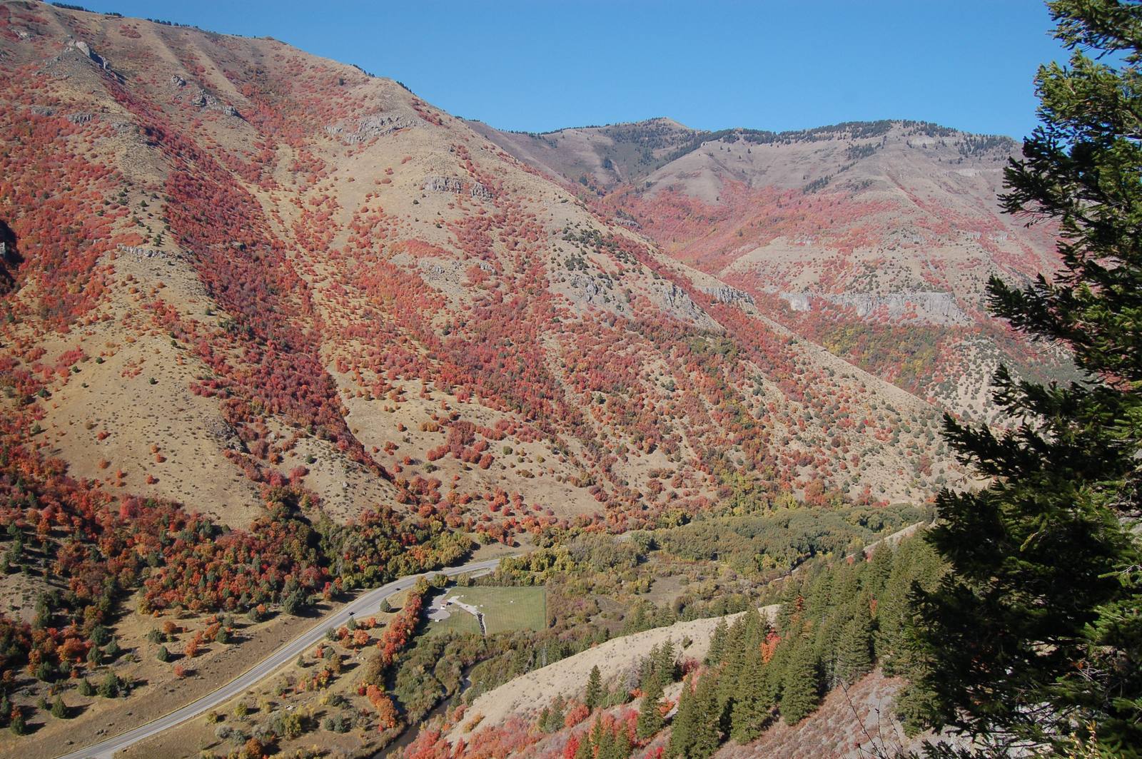 Logan Canyon Scenic Byway