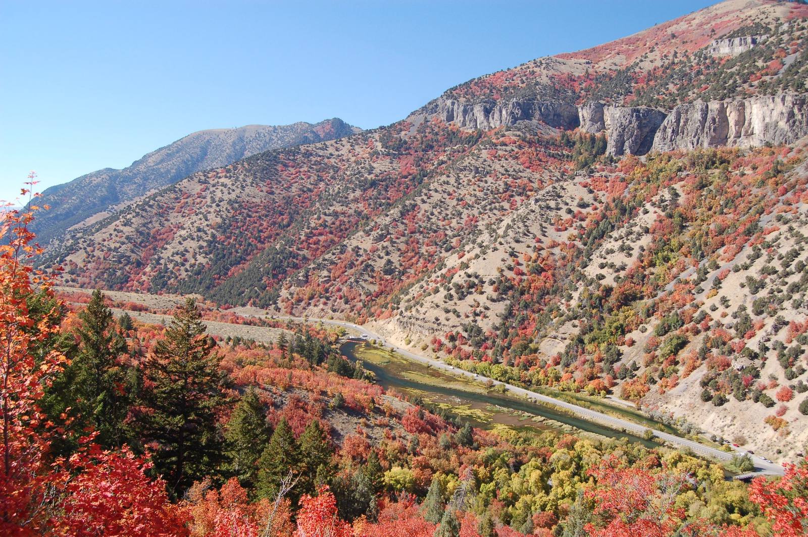 Logan Canyon