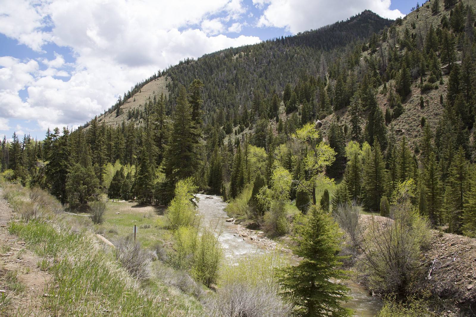 Manti-La Sal National Forest