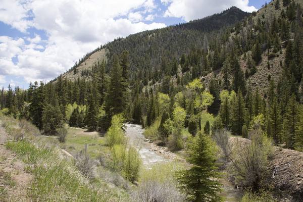 Manti-La Sal National Forest
