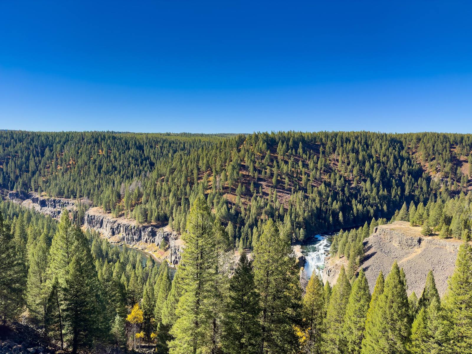 Lower Mesa Falls dropping through a forested gorge of the Henrys Fork