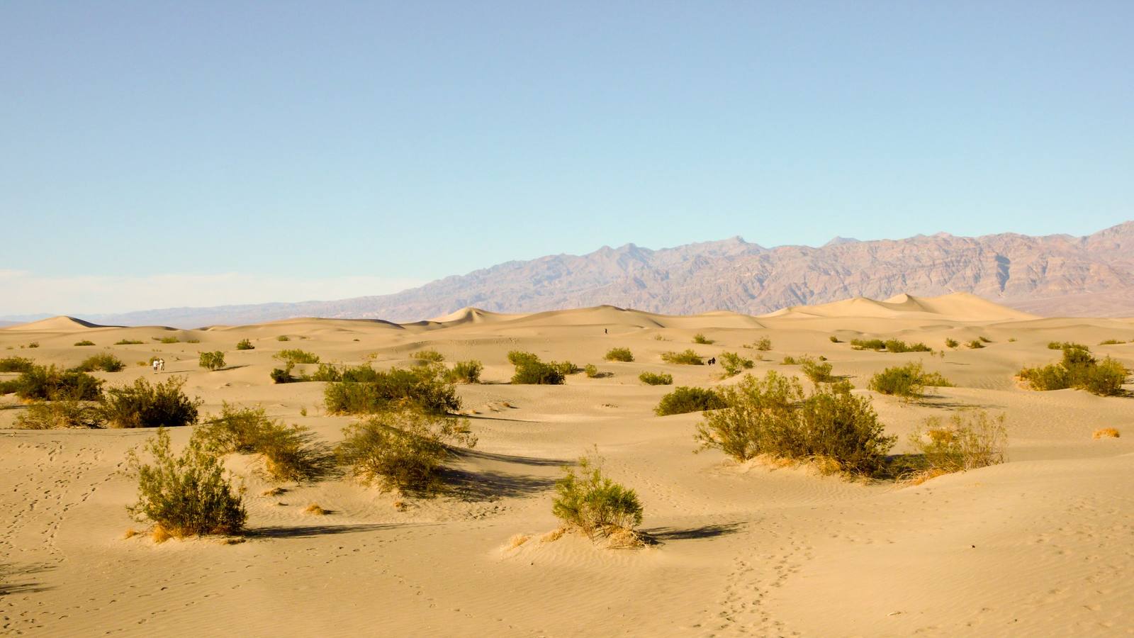 California