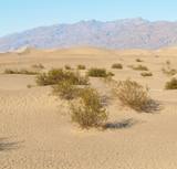 Mesquite Flat Sand Dunes