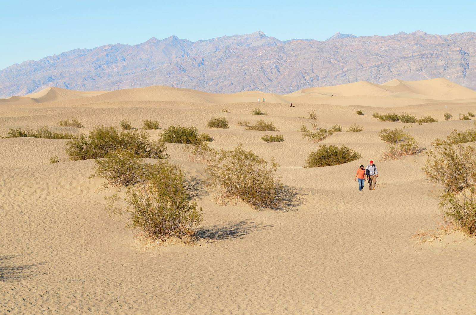 Mesquite Flat Sand Dunes