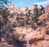 Mossy Cave Trail