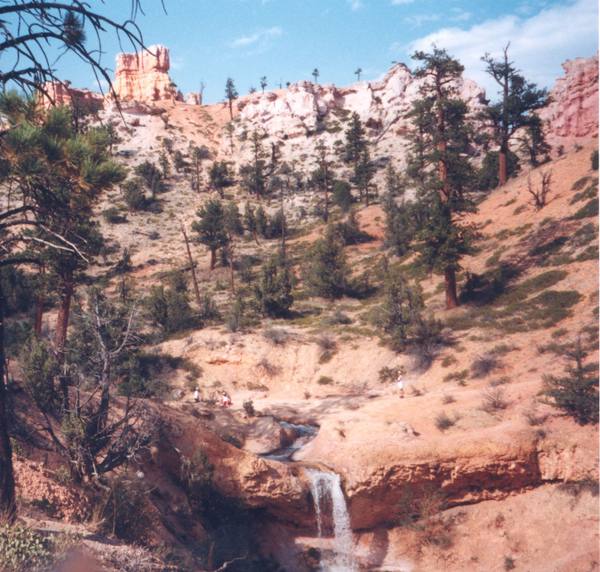 Mossy Cave Trail