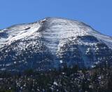 Mount Charleston & the Spring Mountains