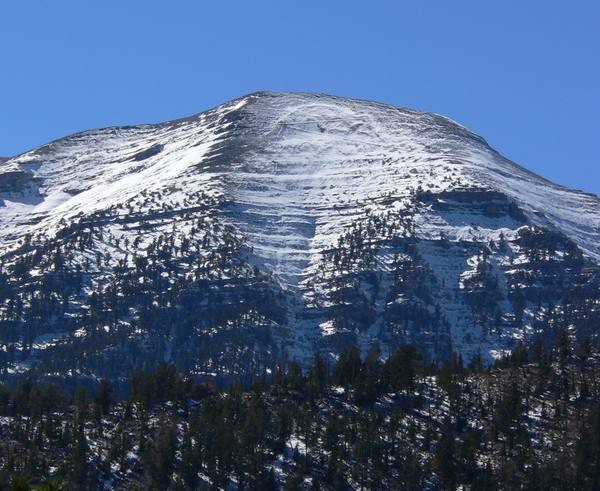 Mount Charleston & the Spring Mountains