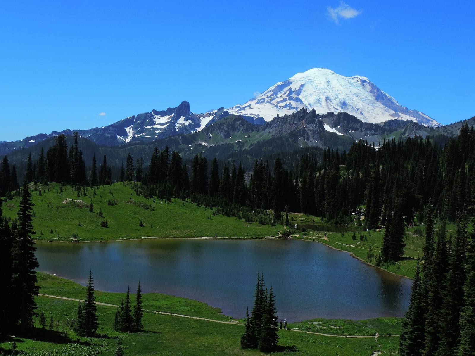Mount Rainier above Tipsoo Lake and its meadows near Chinook Pass