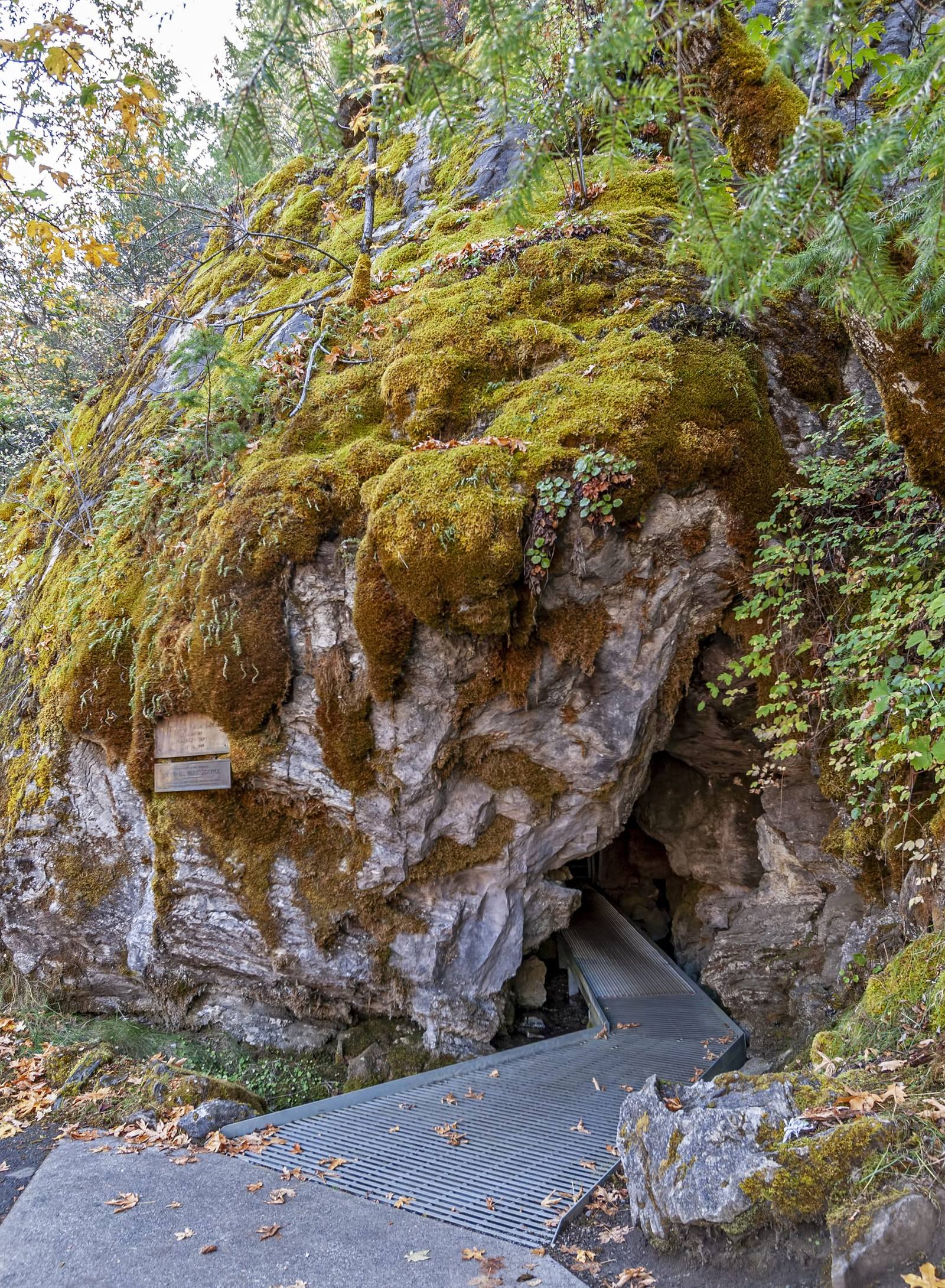 The entrance to the Oregon Caves, a walkway leading into a dark opening in a mossy marble outcrop