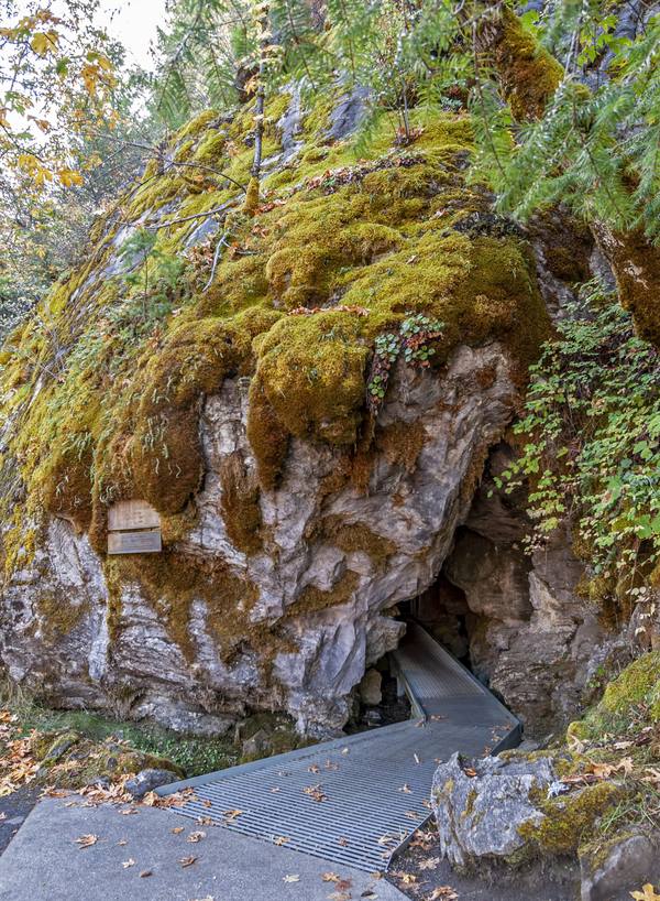 The entrance to the Oregon Caves, a walkway leading into a dark opening in a mossy marble outcrop
