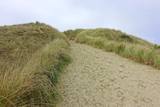 Oregon Dunes