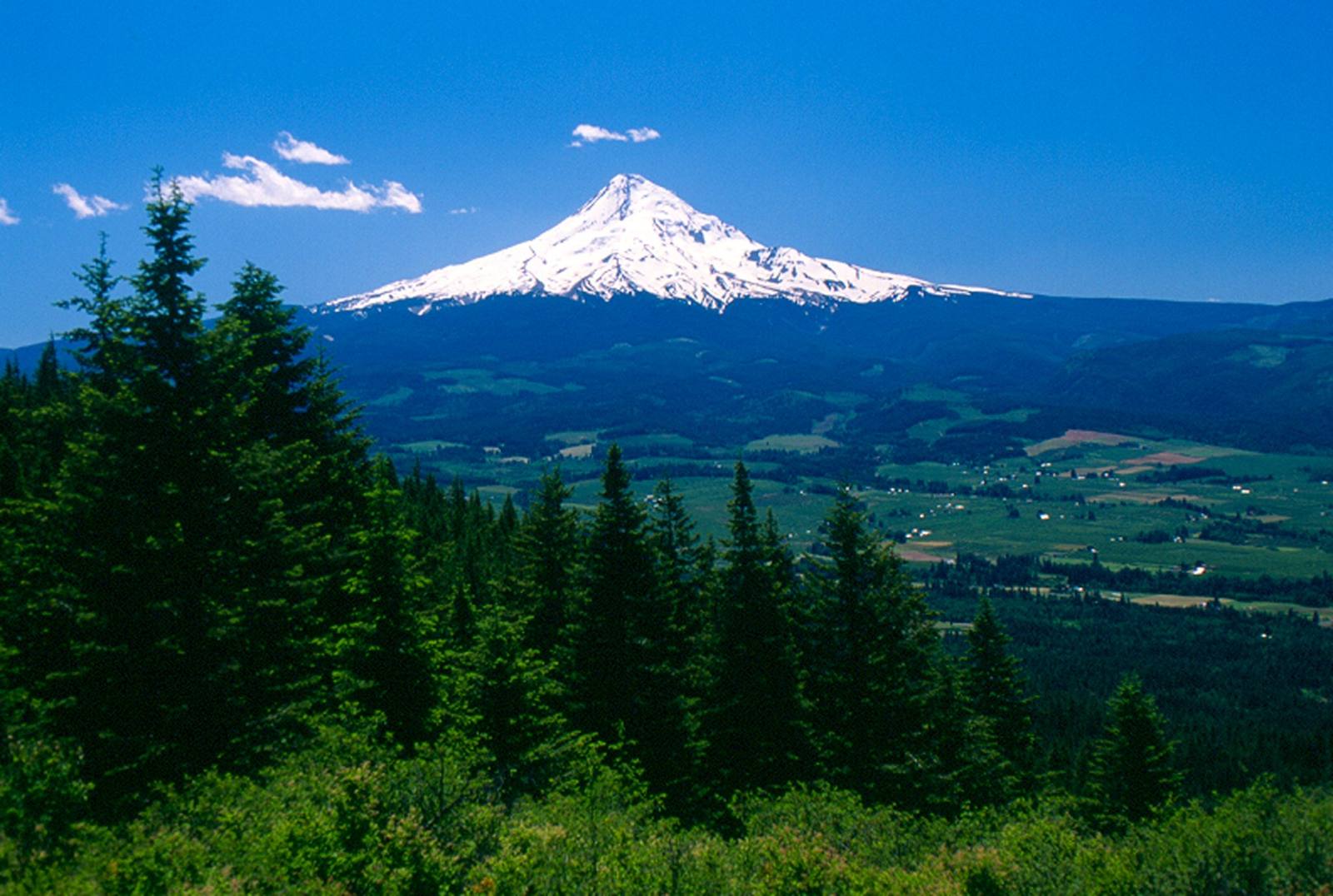 Mount Hood snowcapped above the farms and forests of the Hood River Valley on a summer day