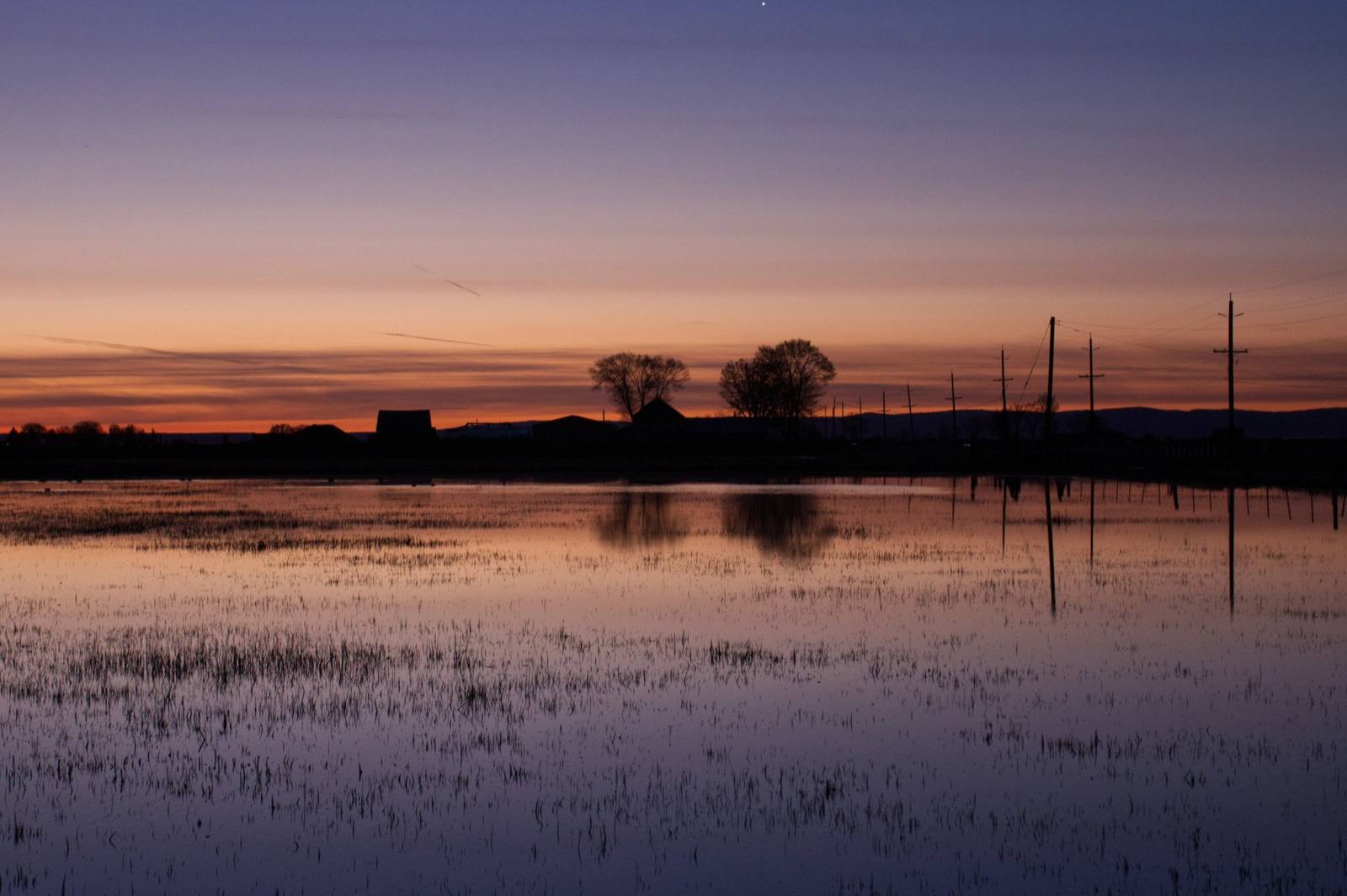 Dawn over flooded marshland in the Harney Basin outside Burns, trees and power poles reflected in still water