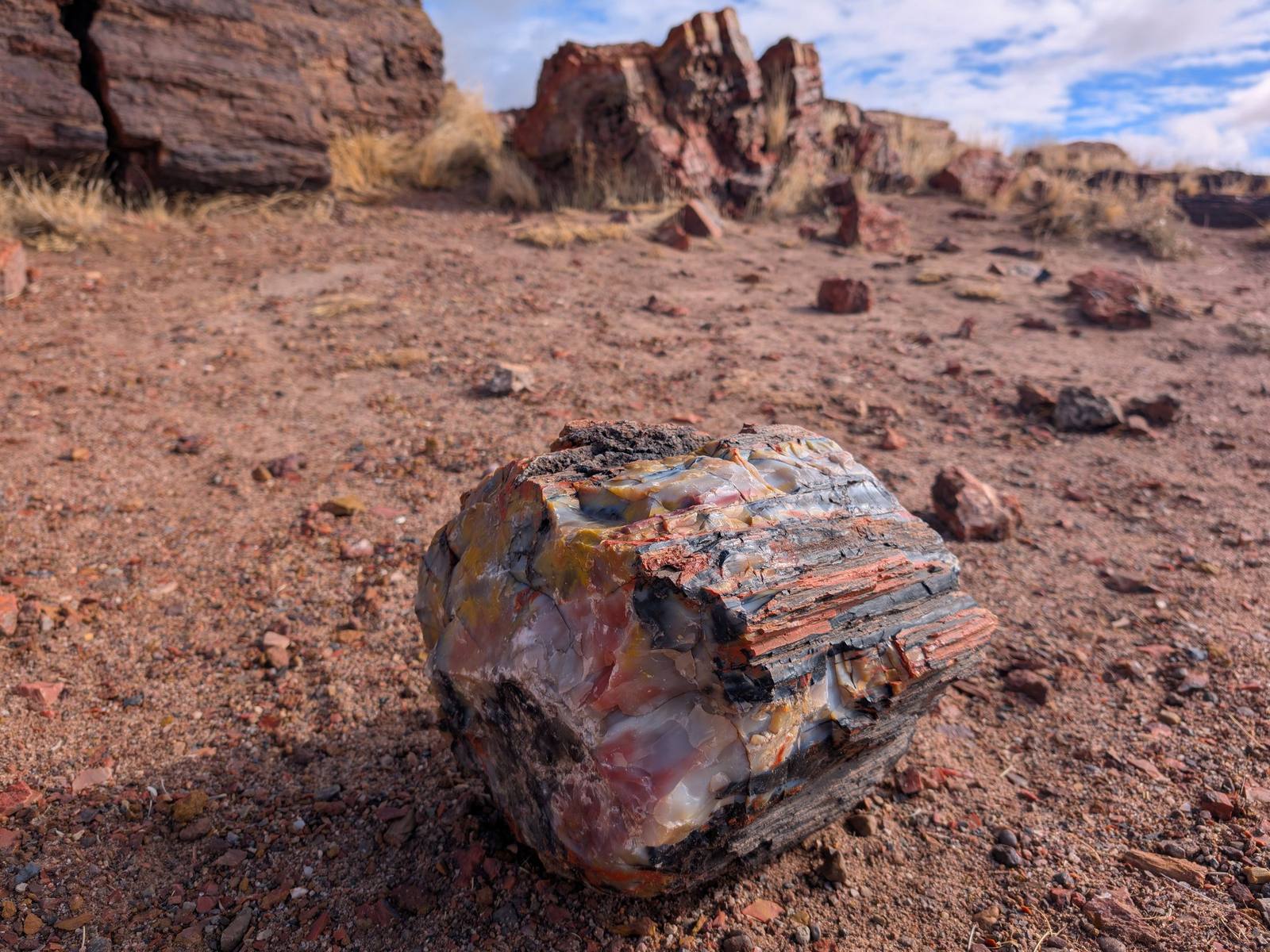 Petrified Forest National Park