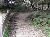 Earthquake Trail