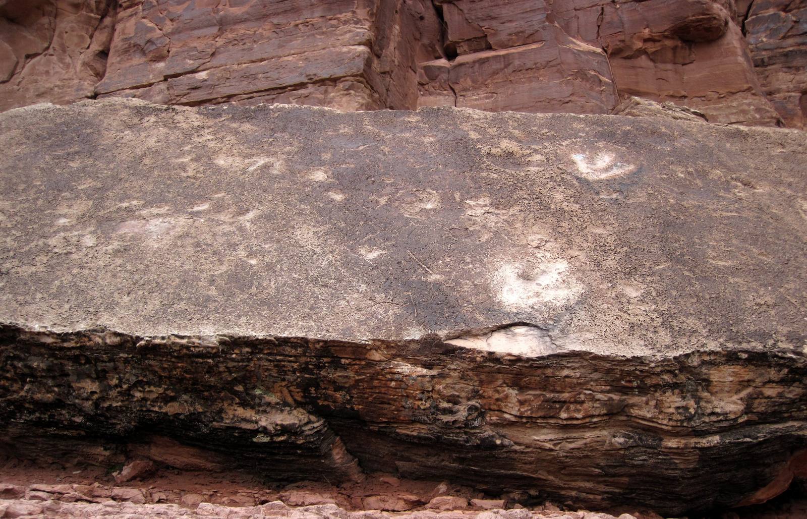 Potash Road Dinosaur Tracks
