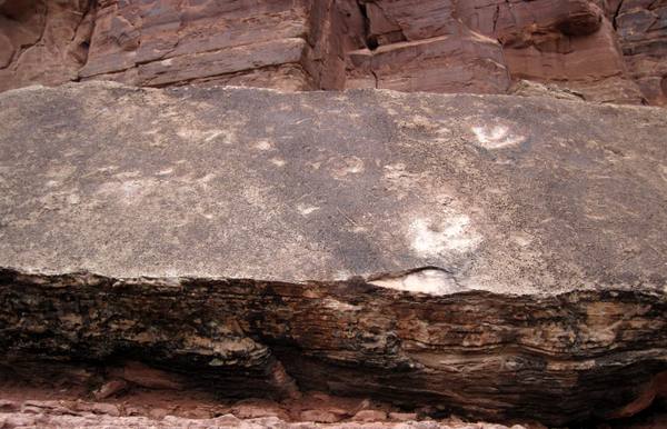 Potash Road Dinosaur Tracks