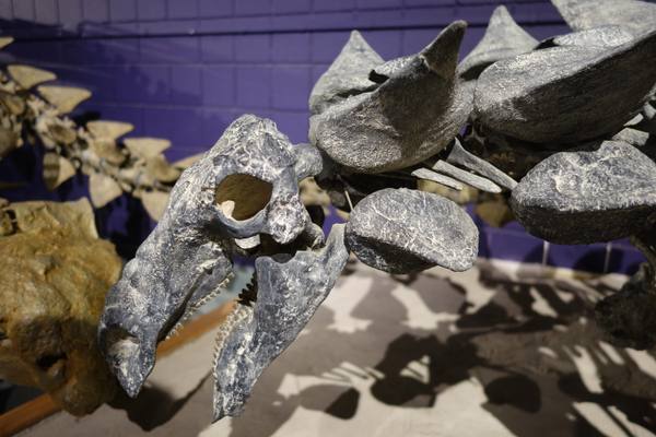 Prehistoric Museum at USU Eastern