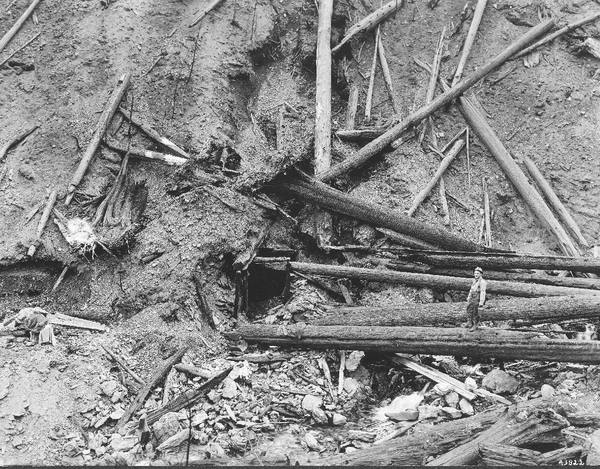 The mouth of the mine tunnel on the West Fork of Placer Creek among burned and fallen timber after the 1910 fire