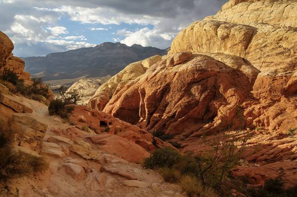 Red Rock Canyon National Conservation Area