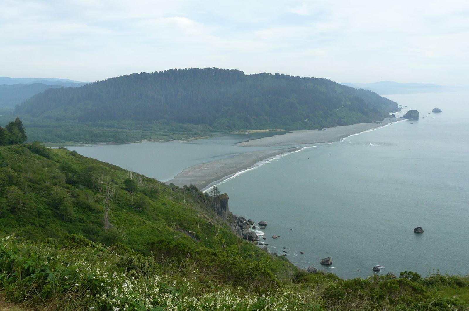 The Klamath River meeting the Pacific, seen south from the Klamath River Overlook: a long sand spit closing across the river mouth below a forested headland, sea stacks offshore and green scrub on the slope in the foreground.