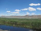Ruby Lake National Wildlife Refuge