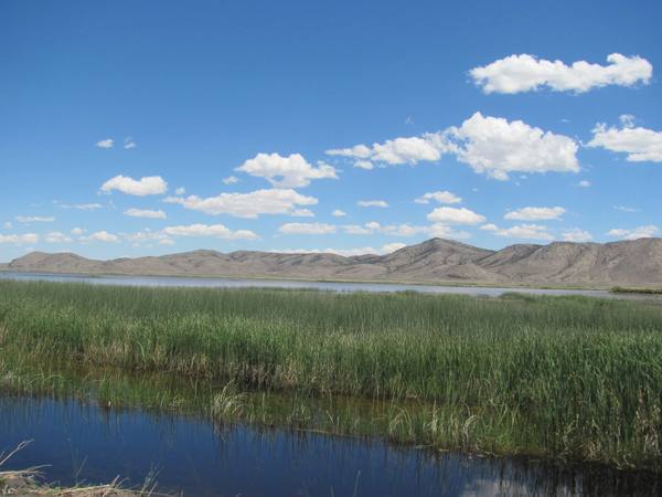 Ruby Lake National Wildlife Refuge