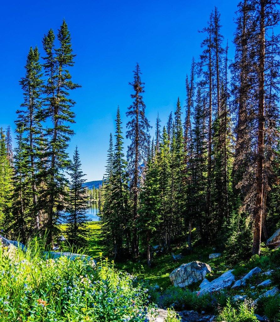 Ruth Lake
