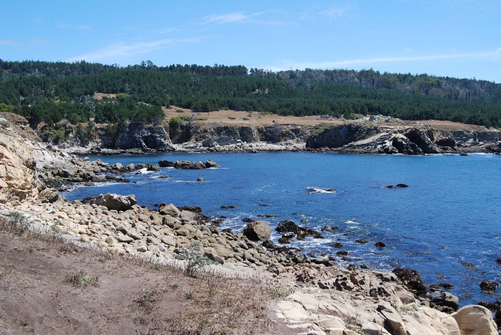 Gerstle Cove at Salt Point under a clear sky: blue water ringed by pale weathered sandstone, rocky ledges in the foreground and a line of dark conifer forest above the low bluffs across the cove.