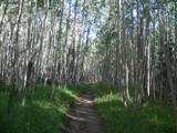 San Francisco Peaks