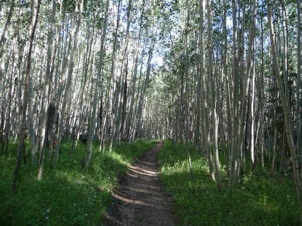 San Francisco Peaks