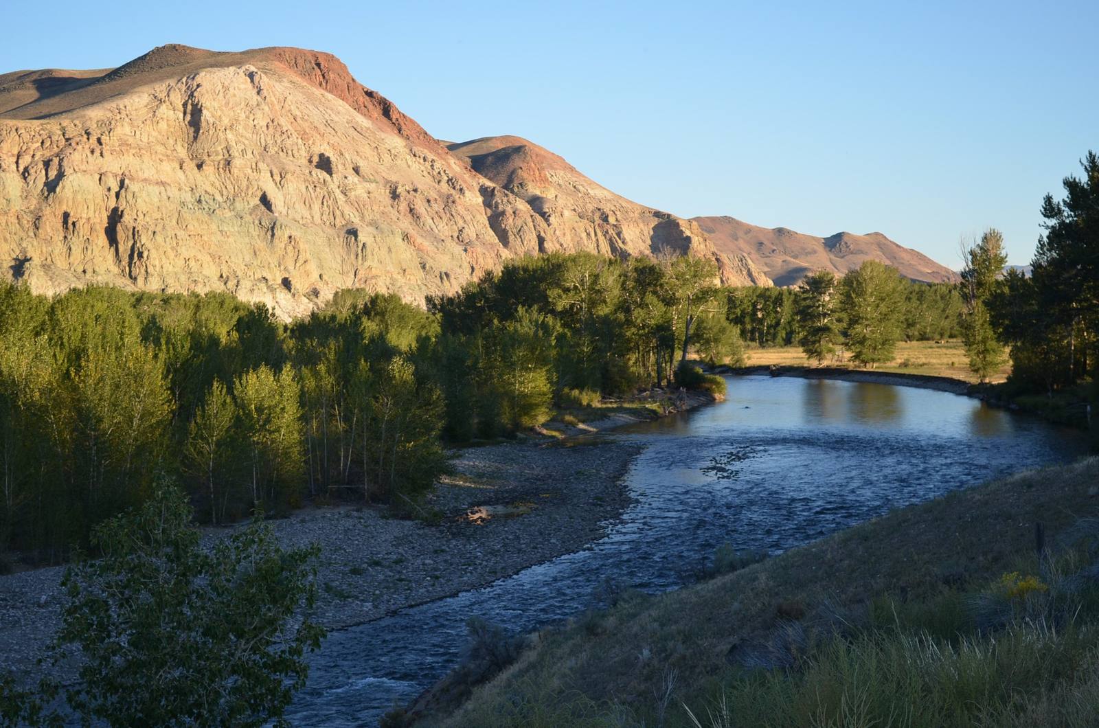 The Salmon River curving past cottonwoods below banded bare hills near Challis