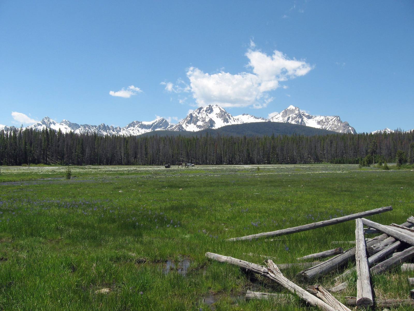 Snow-streaked peaks of the Sawtooth Range above a line of pines and a green meadow along Stanley Lake Creek
