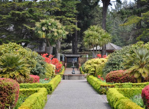 Clipped hedges and spring flowerbeds lining a path through the formal garden at Shore Acres