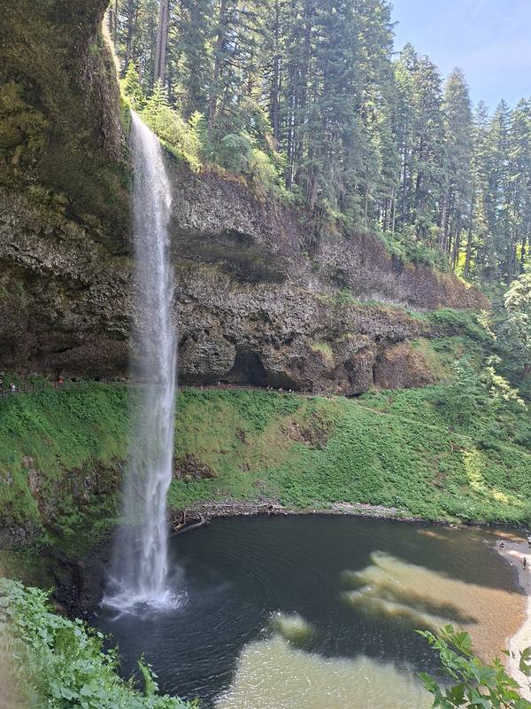 South Falls dropping from a basalt overhang into its pool in Silver Falls State Park, the trail cut behind the falls