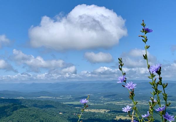 Skyline Drive