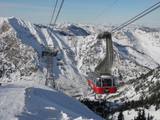 Snowbird