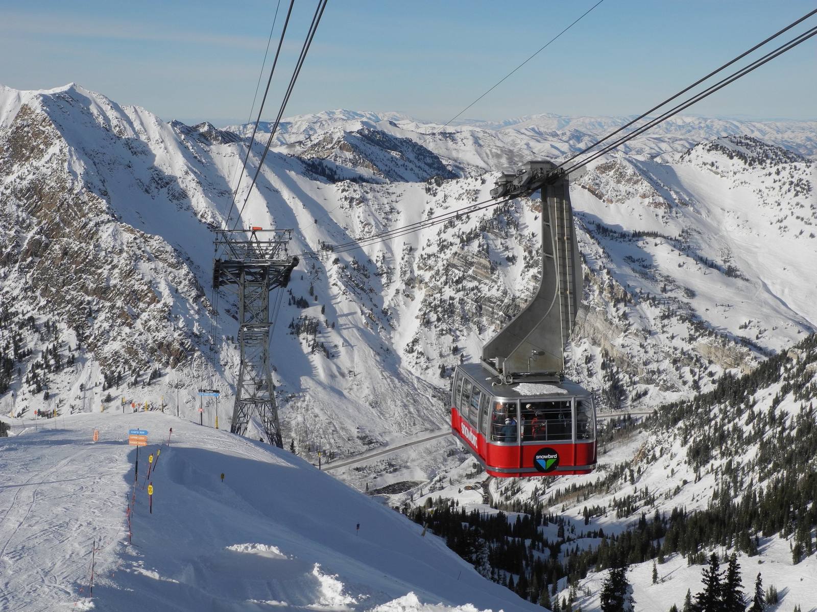Snowbird