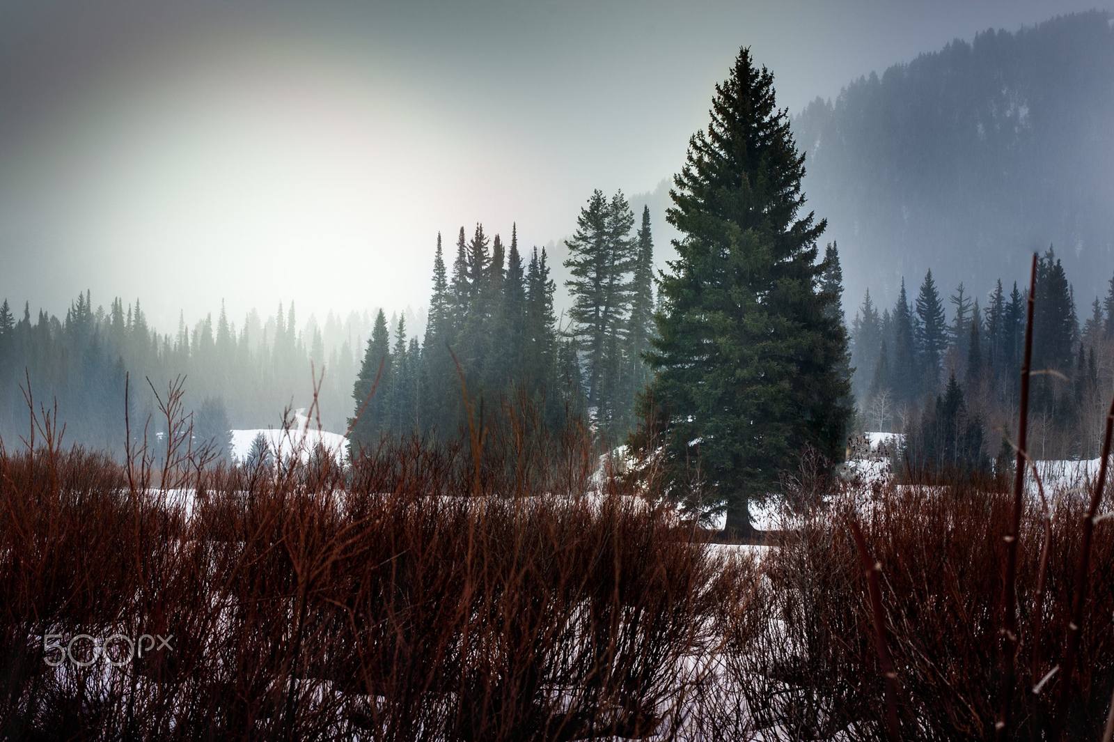 Solitude Mountain Resort