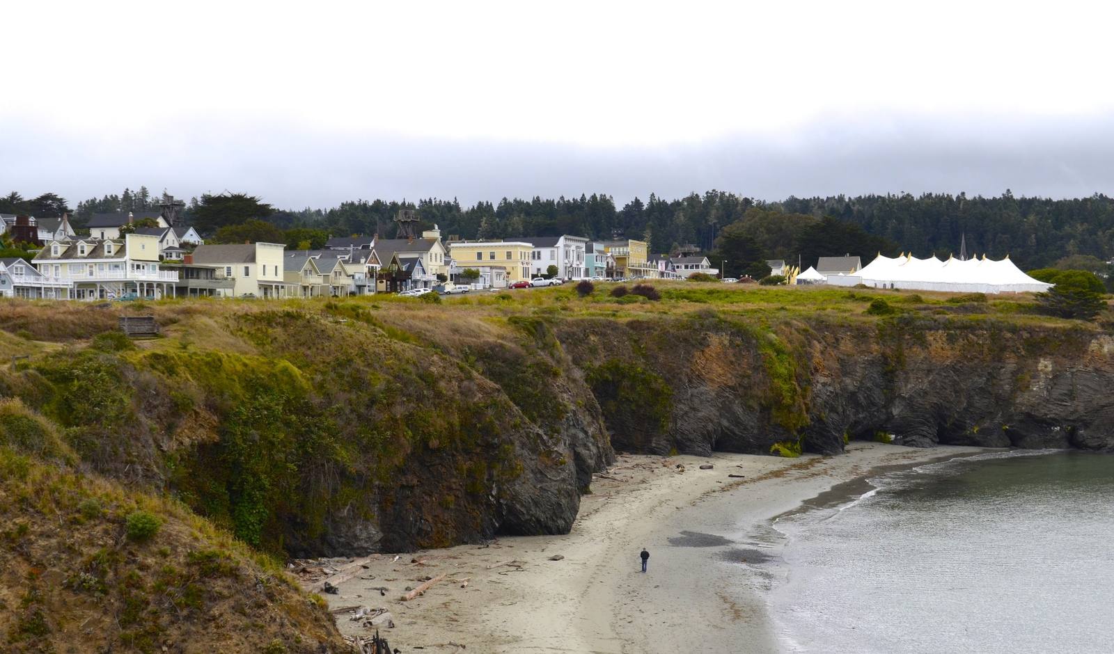 Mendocino seen across a cove from the headlands: a row of white and pale wooden buildings along the top of grassy sandstone cliffs, a curve of sand and shallow water below, and dark forest on the ridge behind under a grey sky.