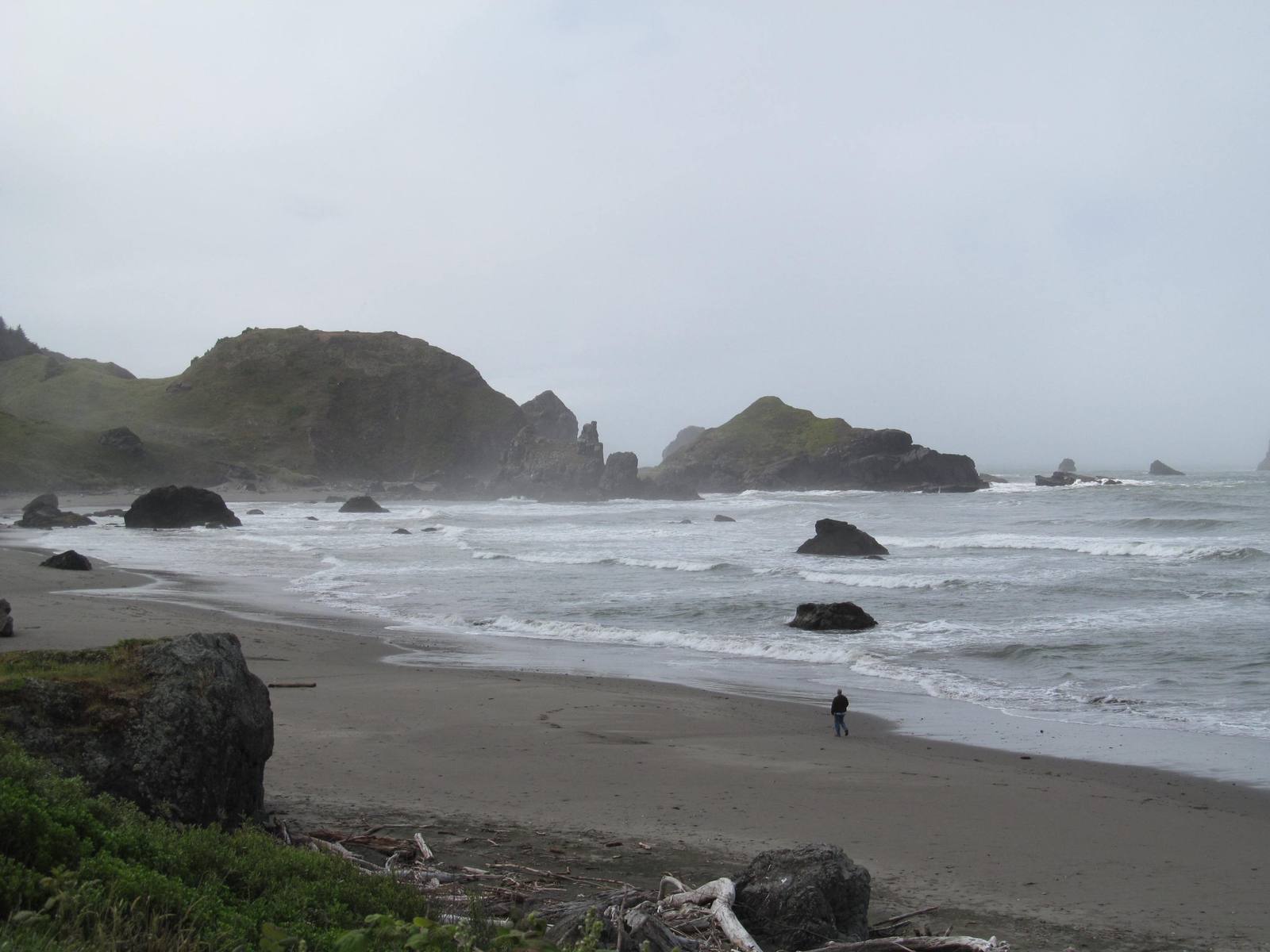 Sea stacks and wooded headlands along a beach in the Samuel H. Boardman corridor on the south Oregon coast