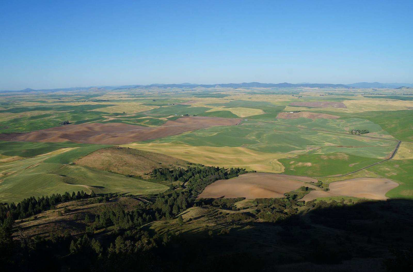 Looking east from the summit of Steptoe Butte over the rolling wheat and fallow fields of the Palouse, the butte's own shadow and timbered slope below