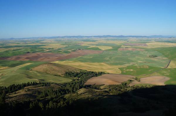 Looking east from the summit of Steptoe Butte over the rolling wheat and fallow fields of the Palouse, the butte's own shadow and timbered slope below