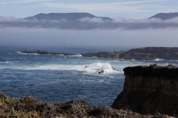 A dark bluff dropping into surf on the Stornetta Public Lands near Point Arena, low reefs breaking offshore, and a bank of fog lying along the coast beneath a ridge of mountains.