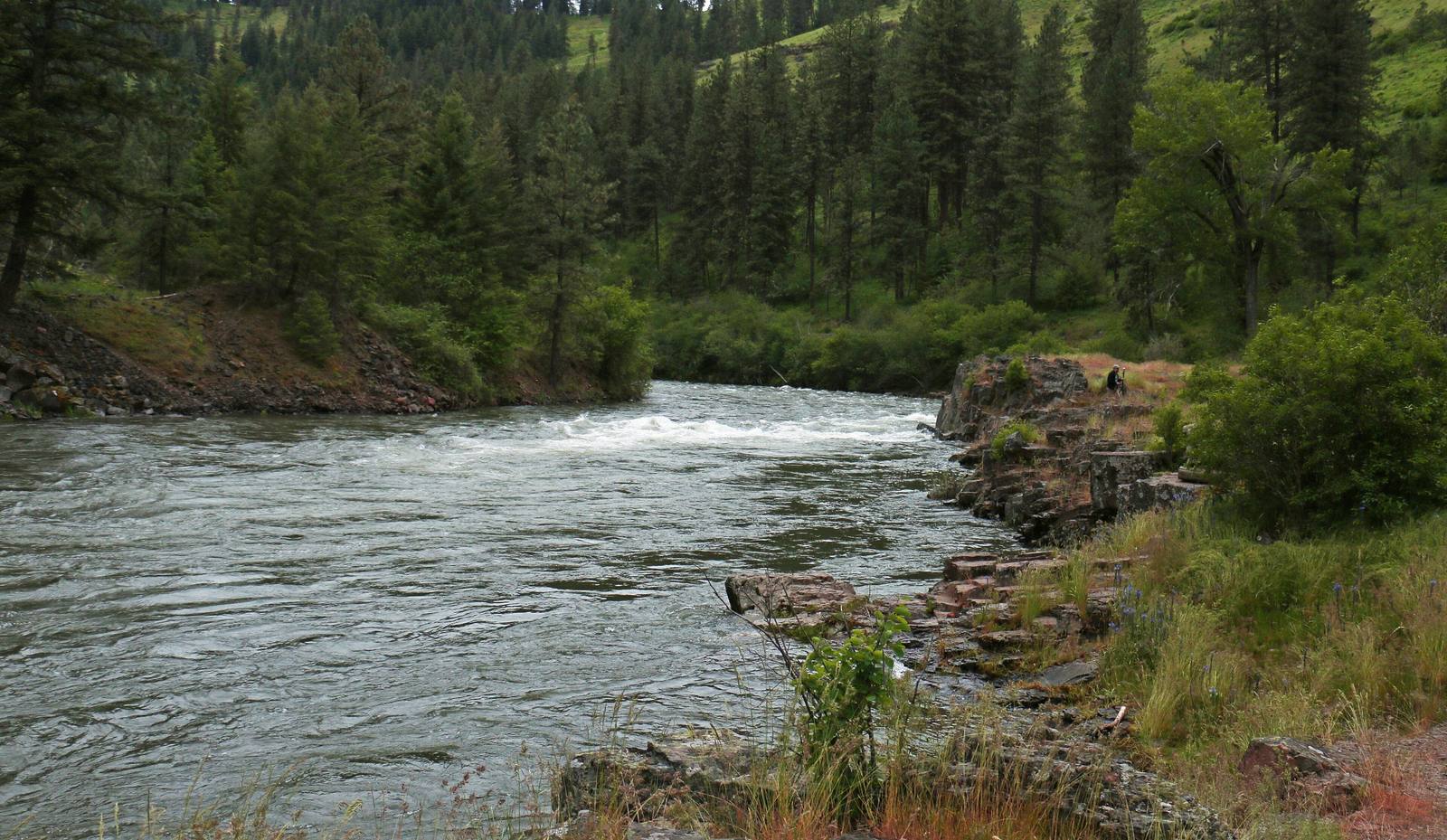 The Wallowa River running fast between forested slopes in the Wallowa country